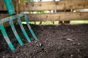 How to Make the Perfect Compost